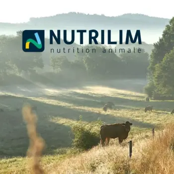 Illustration de la création : Nutrilim
